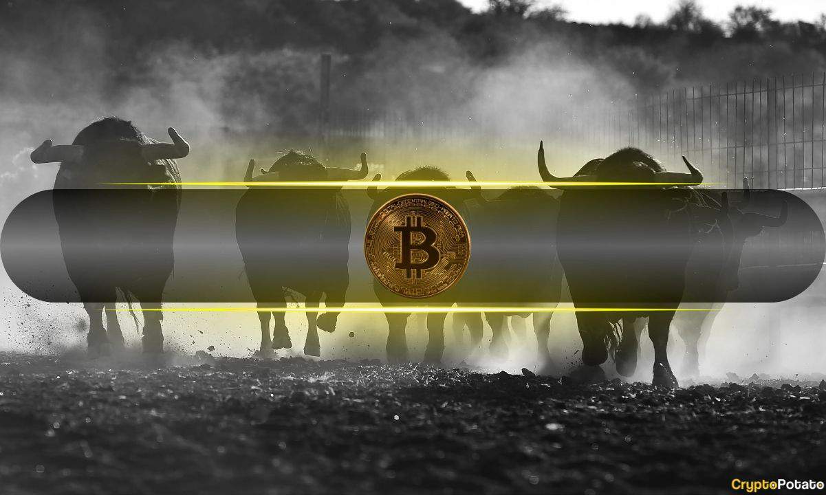 3 Bullish Signs for Bitcoin Following Recent Crash