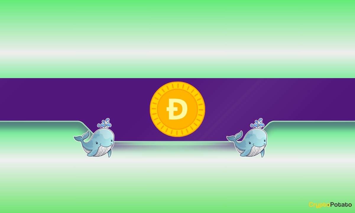 Dogecoin Whales Make a Huge Move: Is DOGE's Price Poised for a Rally?