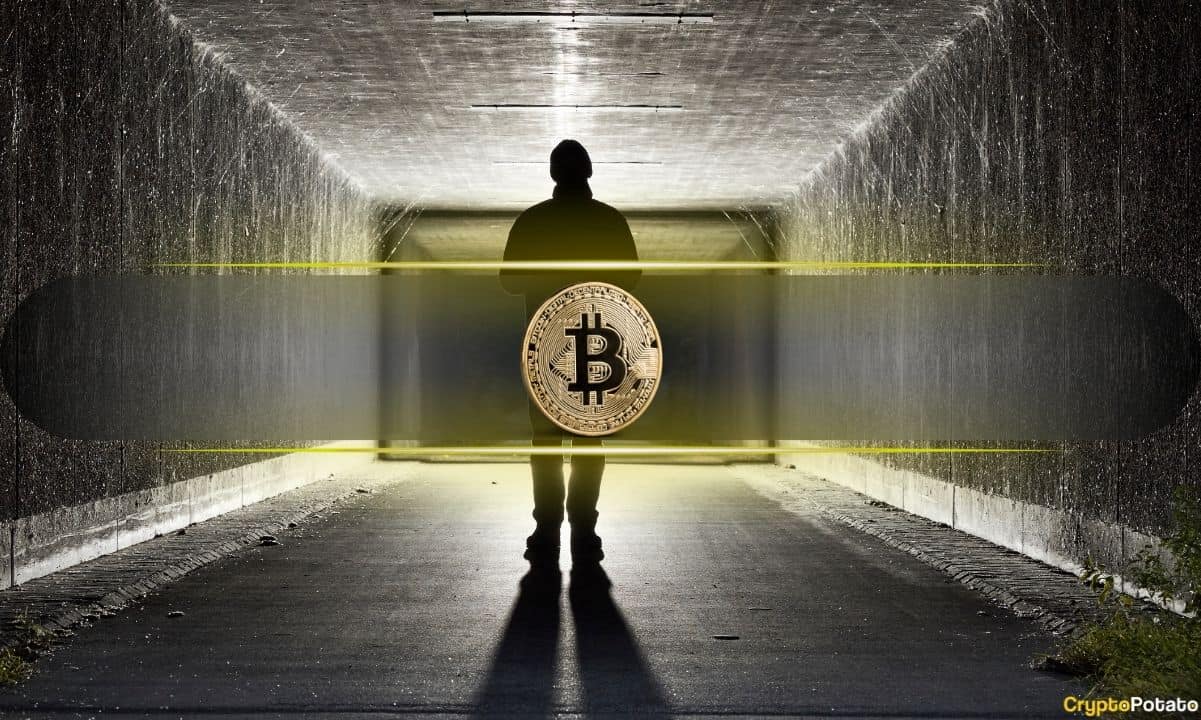 New Clues Emerge: Was Satoshi Nakamoto Active Until 2014?